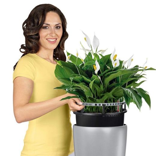 Hidrojardinera lechuza rondo Premium