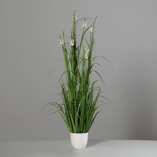 Hierba con Múltiples Frutos en Maceta de Plástico Blanca, 148CM, 2/8