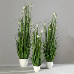 Hierba con Múltiples Frutos en Maceta de Plástico Blanca, 148CM, 2/8