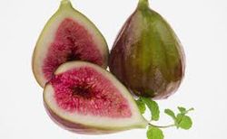 HIGUERA BREVA Ficus carica 4/6 C-19