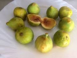HIGUERA CUELLO DAMA BLANCO Ficus carica 6/8 C-25