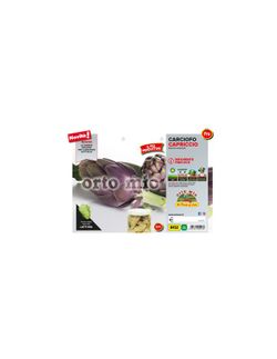 Alcarchofa Violeta Capricco 4 Plantas En Pack