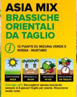 Brassicas De Corte Oriental 9 Plantas En Pack
