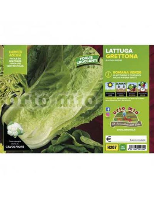 Lechuga Grettona 9 Plantas En Pack