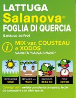 Lechuga Salanova Mix Hojas Roble Cousteau / Xodos 9 Plantas en Pack