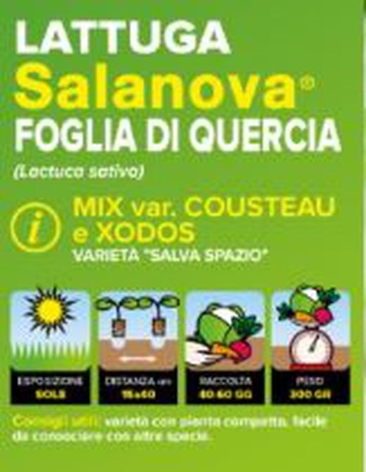 Lechuga Salanova Mix Hojas Roble Cousteau / Xodos 9 Plantas en Pack