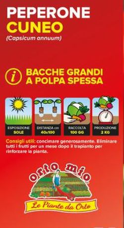 Pimiento Piemontese Rojo De Cuneo 6 Plantas En Pack