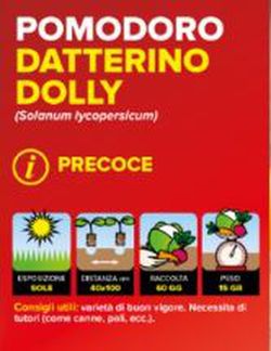 Tomate Cherry Amarillo 6 Plantas En Pack