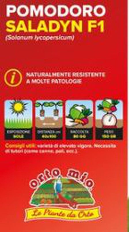 Tomate De Salsa Rossano 6 Plantas En Pack