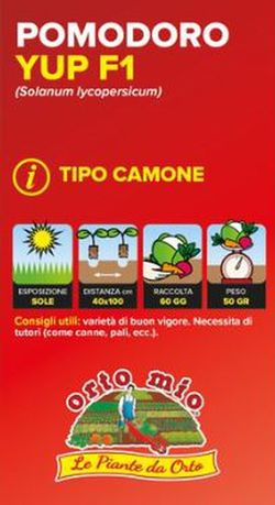 Tomate Quinto Gusto Yup F1 (Tipo Camone) 6 Plantas En Pack