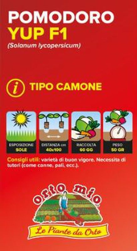 Tomate Quinto Gusto Yup F1 (Tipo Camone) 6 Plantas En Pack