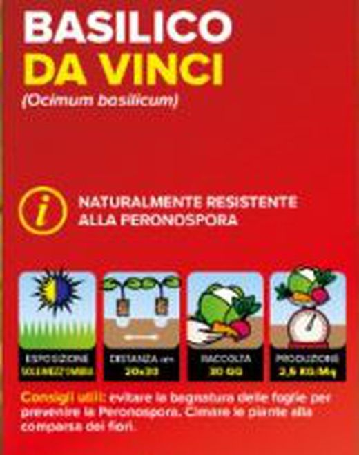 Albahaca Da Vinci 6 Plantas En pack
