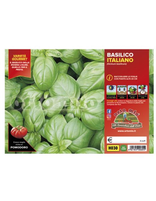 Albahaca Genovesa 6 Plantas en Pack