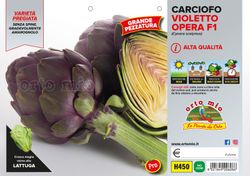 Alcachofa Violeta Romagna 4 Plantas en Pack