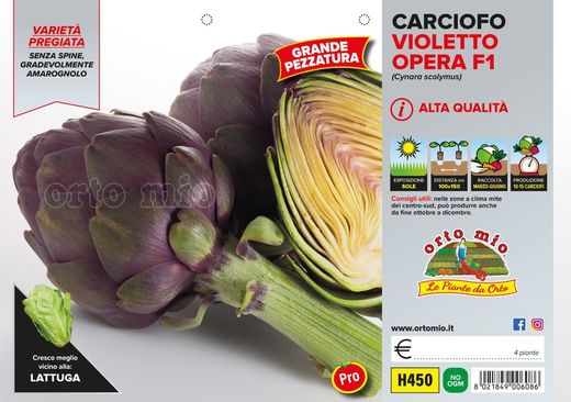 Alcachofa Violeta Romagna 4 Plantas en Pack