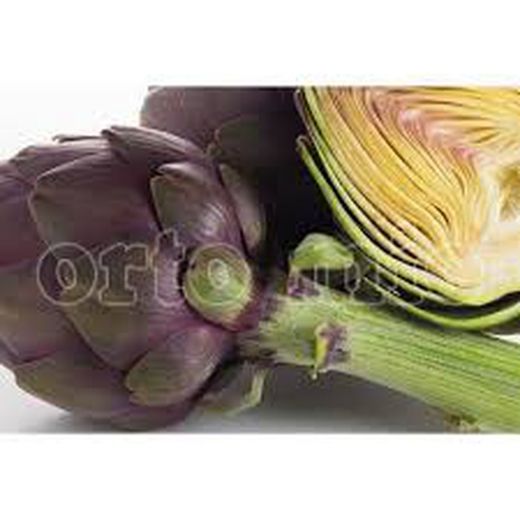 Alcachofa Violeta Romagna 4 Plantas en Pack