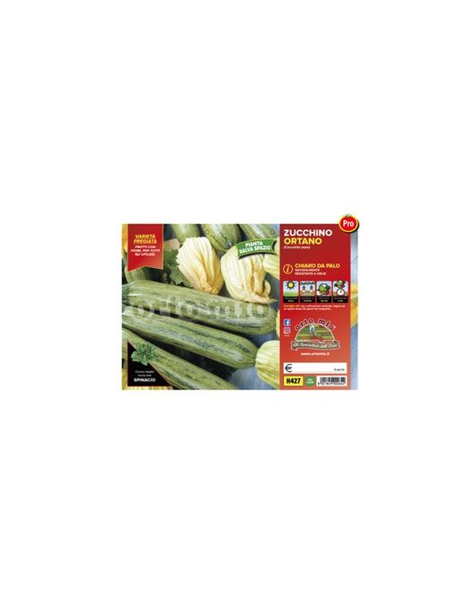 Calabacin Claro Ortano Trepador Pack