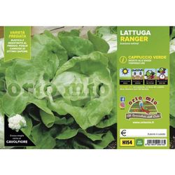 Lechuga Repollo Burana 9 Plantas en Pack