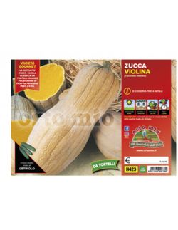 Calabaza Butternut Rugosa 4 Plantas en Pack