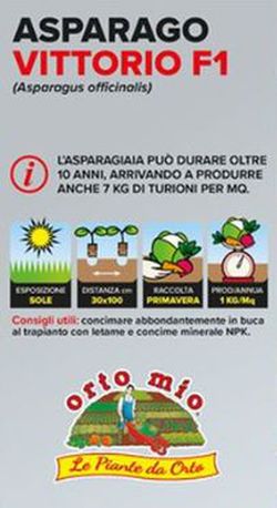 Espárrago Verde Vittorio 4 Plantas en Pack