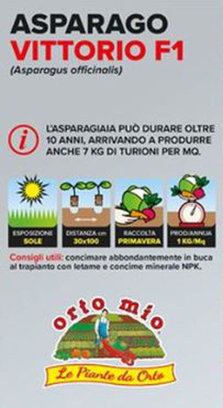 Espárrago Verde Vittorio 4 Plantas en Pack
