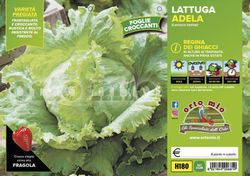 Lechuga Adela 9 Plantas en Pack