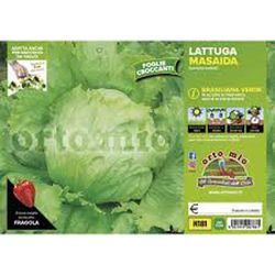 Lechuga Masaida 9 Plantas en Pack