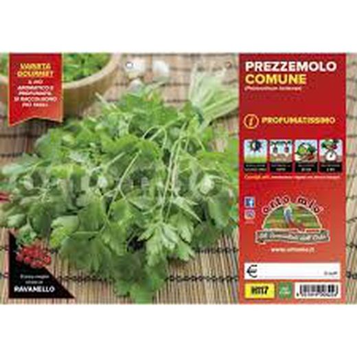 Perejil Común Perfumado 6 Plantas en Pack
