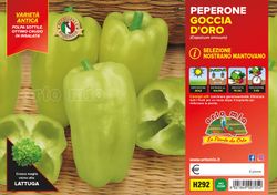 Pimineto Nostrano Mantovano 6 Plantas en Pack