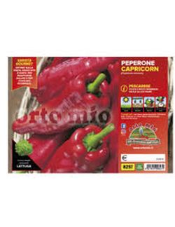 Pimiento Pescarese Capricorn 6 Plantas en Pack