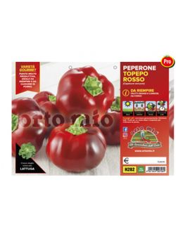 Pimiento Topepo Rojo Para Hornear 6 Plantas En Pack