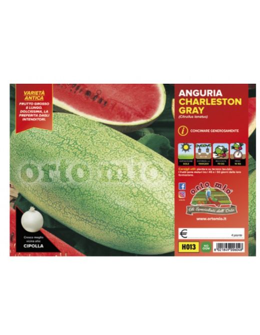 Sandía Larga Charleston Gray 4 Plantas en Pack