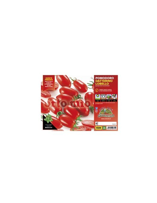 Tomate Adatilado Lobello 6 Plantas En Pack