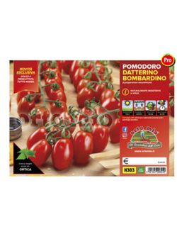 Plantio Tomate Cherry Adatilado Bombardino