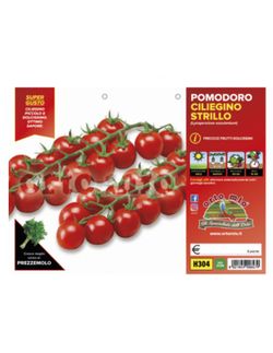 Tomate Cherry Cereza Dulce Strillo 6 Plantas en Pack