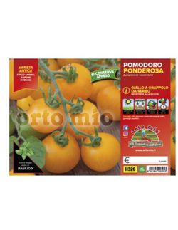Tomate Ponderosa Amarillo 6 Plantas en Pack