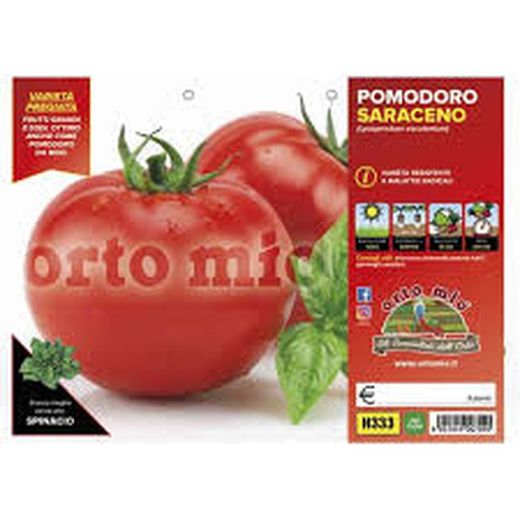 Tomate Redondo Saraceno 6 Plantas en Pack