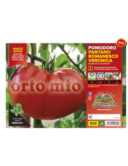 Tomate Redondo Pantano 6 Plantas En Pack