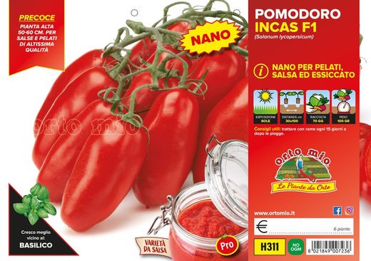 Tomate San Marzano Enano 6 Plantas En Pack