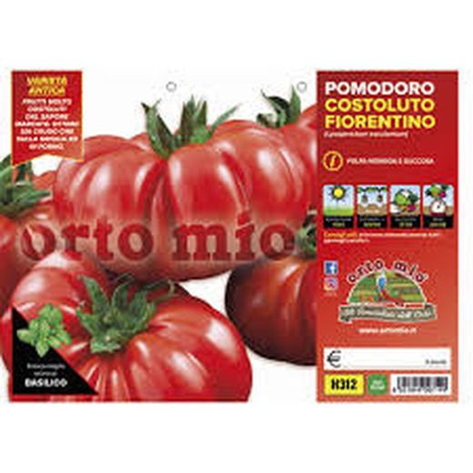 Tomate Fiorentino Novoli 6 Plantas en Pack