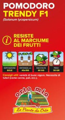 Tomate Vesuviano Trendy 6 Plantas en Pack