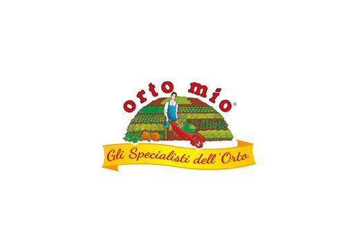 Rucula Silvestre 6 Plantas en Pack