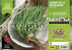 Salsola Soda 6 Plantas en Pack