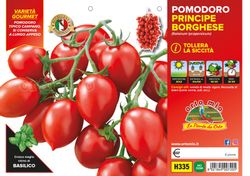 Tomate Principe Borghese 6 Plantas en Pack