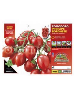 Tomate Principe Borghese 6 Plantas en Pack