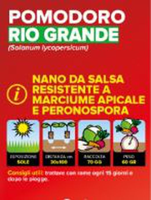 Tomate Rio Heiz 6 Plantas en Pack