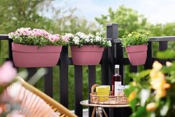 Jardinera Campan vibia easy hanger Large Elho®