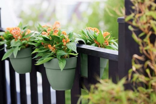 Jardinera campana flower twin 21cm Elho®