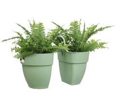Jardinera campana flower twin 21cm Elho®