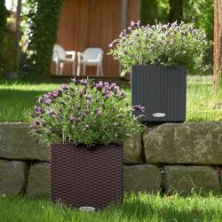 Jardinera Cubico cottage 30cm color granito